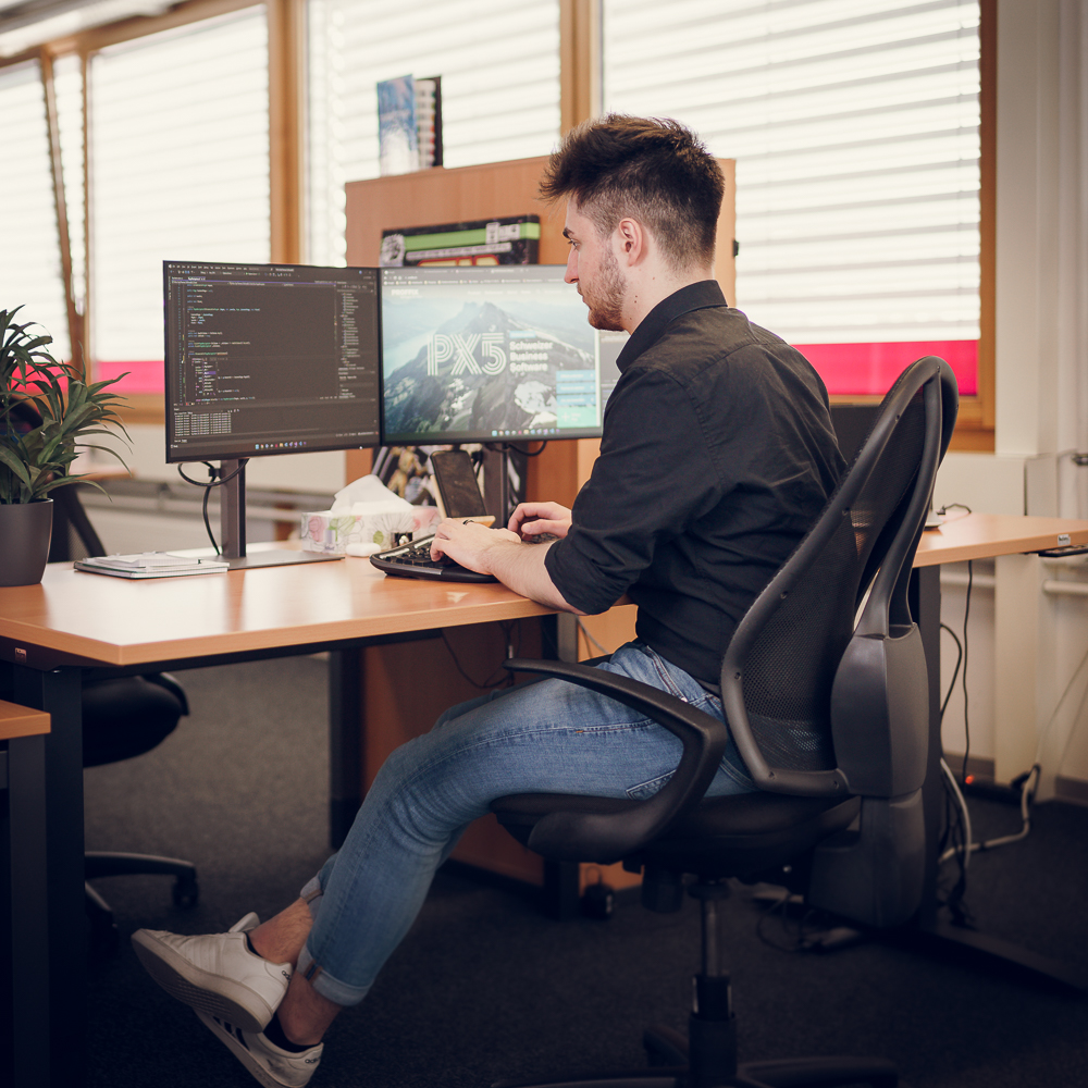 Daten aus der Business Software auf der Website abbilden