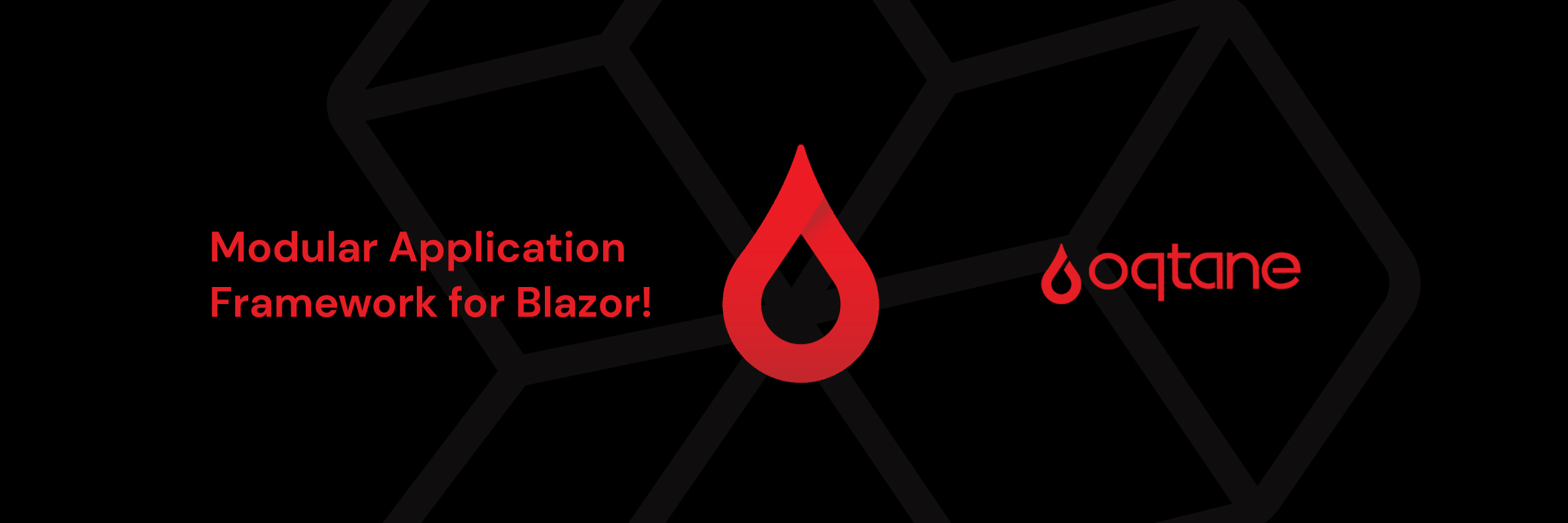 Oqtane Development für Websites, Business Applikationen und mehr