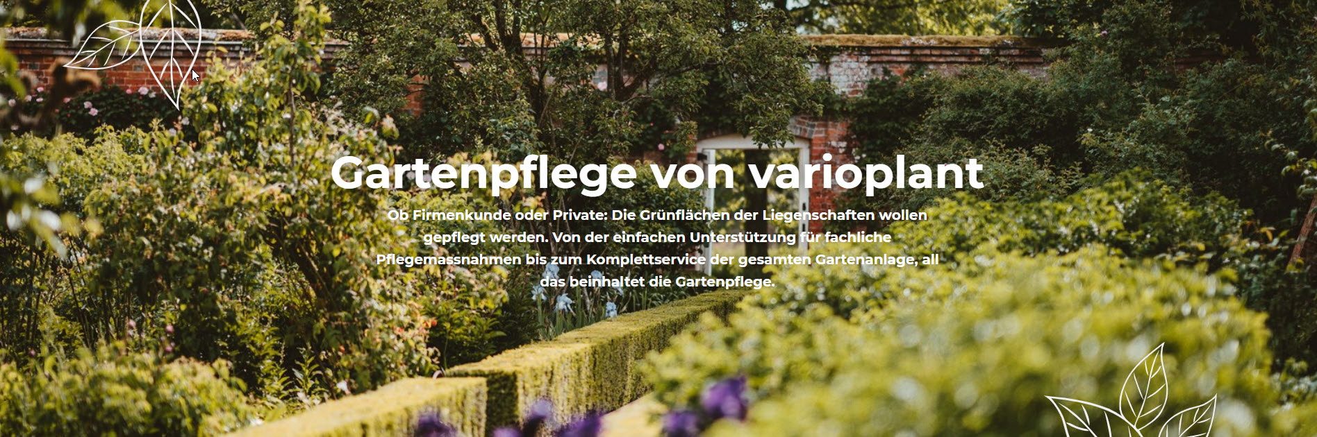 Neues Webdesign für Varioplant